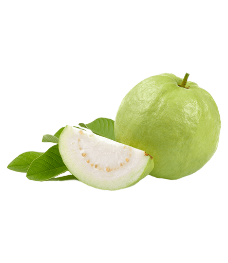 Fresh Guava Fresh Guava