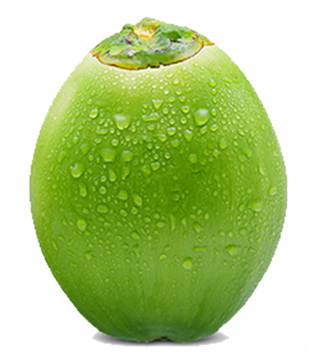 Tender Coconut Tender Coconut